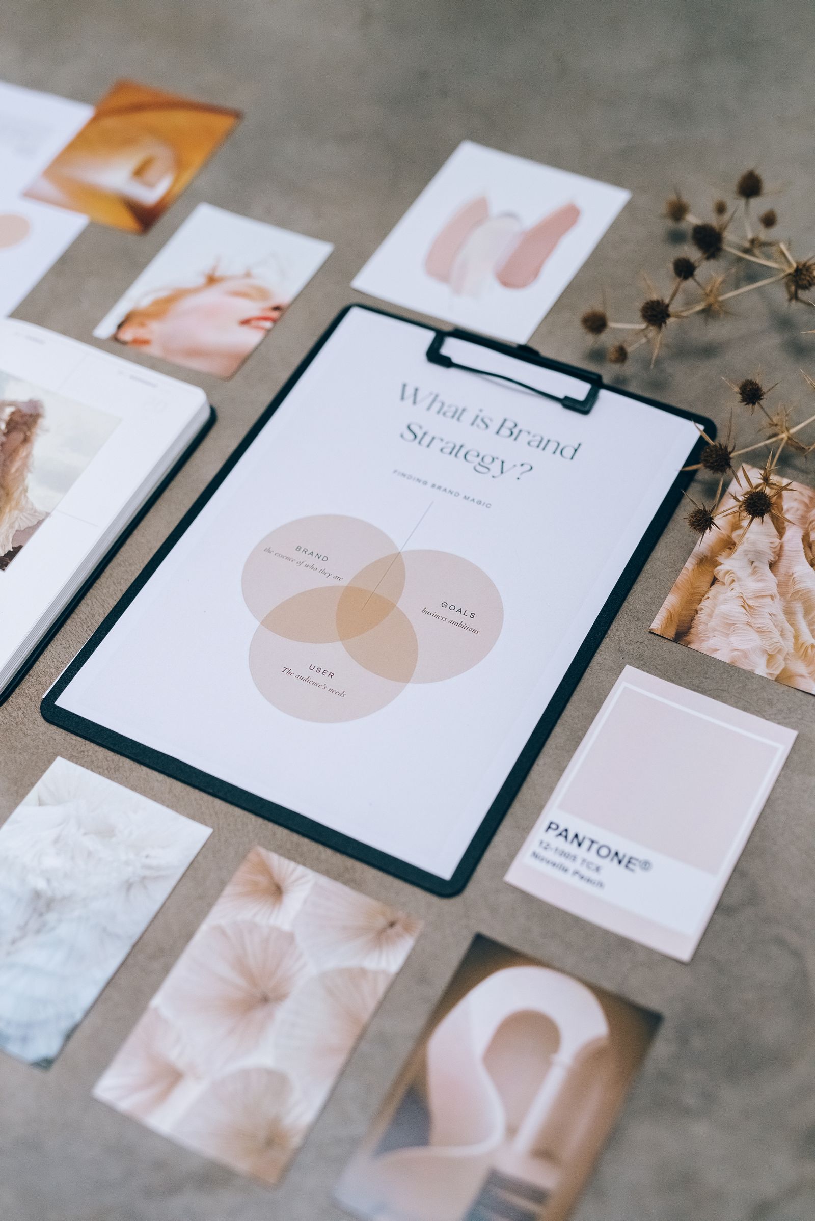 Markenauftritt & Branding-Paket